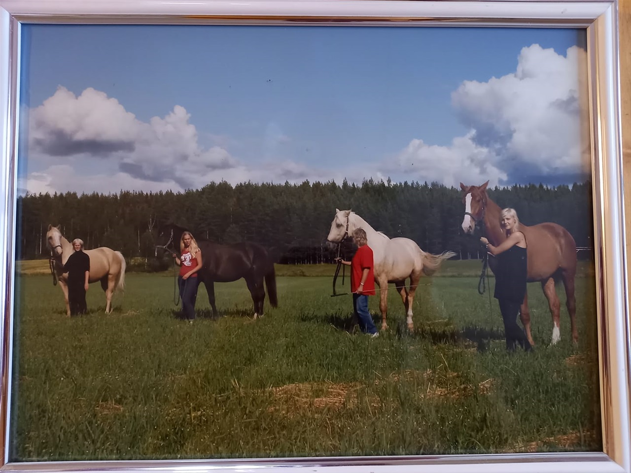 Anja-Bella, Royal Millenium, Canello, Mira-Bella
Foto Berit Öhrvall
