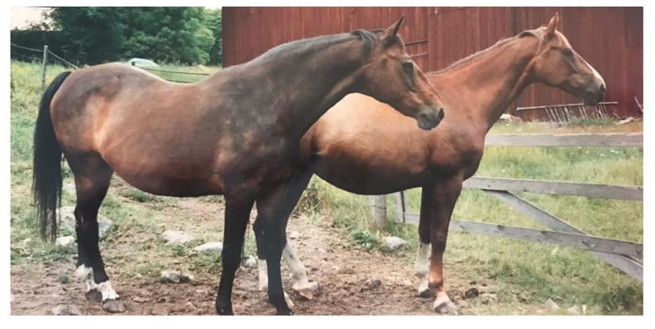 Bellona och dottern Belle-Amie
Foto Pernilla Evin